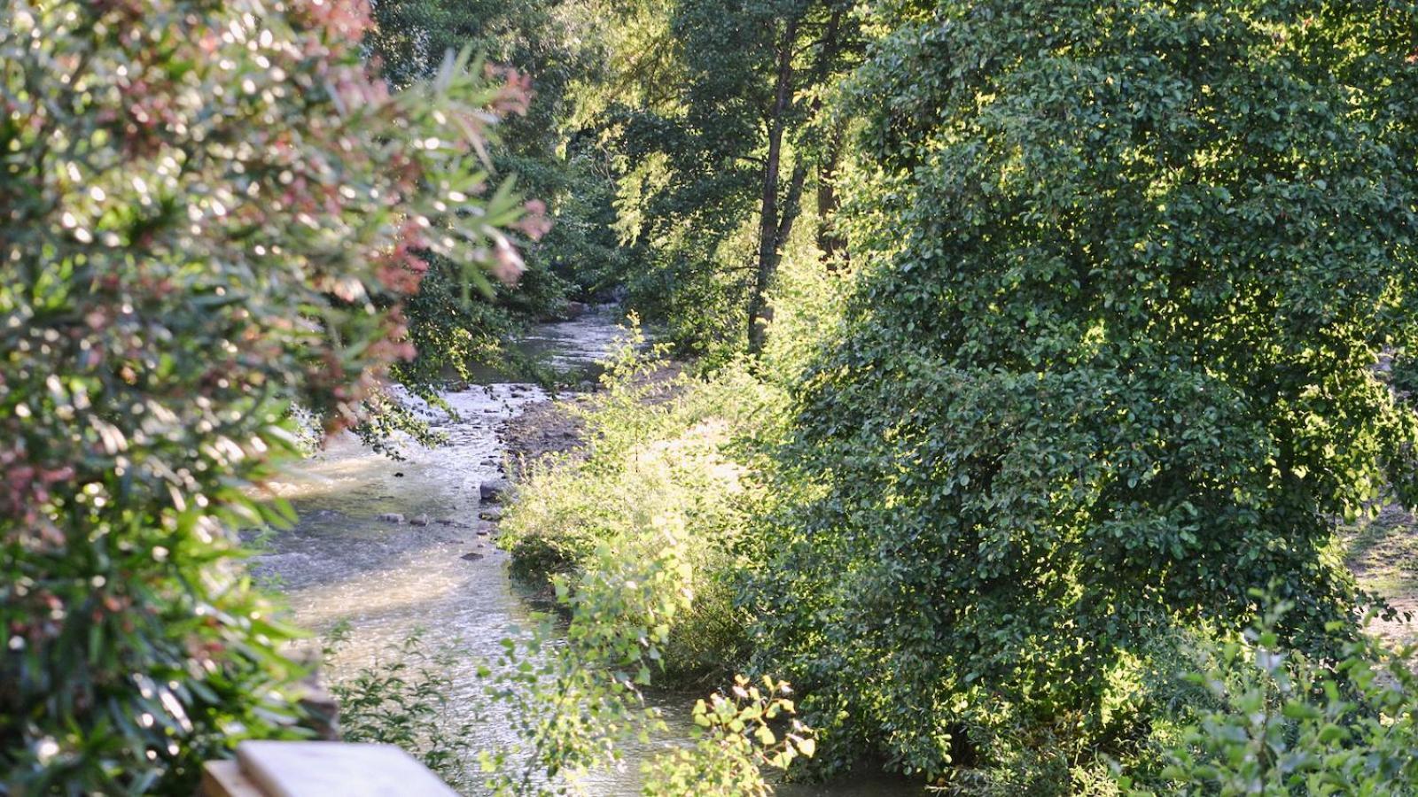 Gites De La Soulondre Lodève Exteriér fotografie